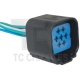CHICOTE - FORD FIESTA 1.0 8V/1.6 16V/1.6 8V 1996-2019 FIESTA SEDAN 1.6 16V 2010-2013