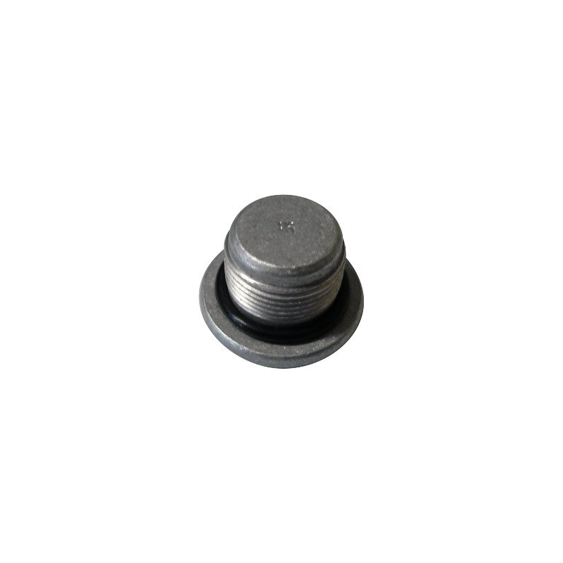 PARAFUSO TAMPA VALVULA - FIAT PALIO 1.0 16V/1.3 16V 2000-2003 DOBLO 1.3 16V 2001-2006