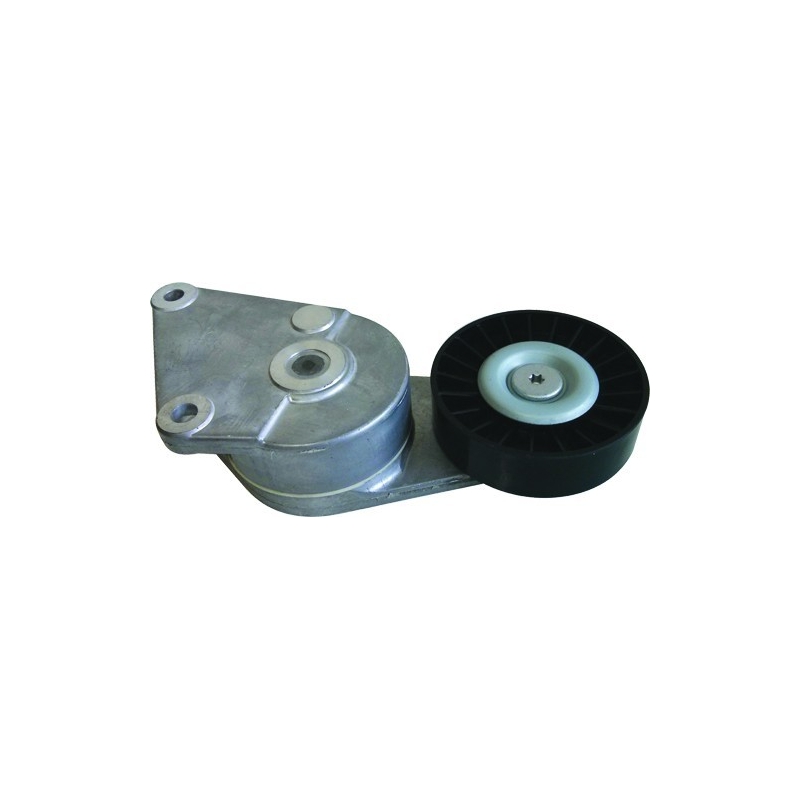TENSOR CORREIA ALTERNADOR - PEUGEOT 306 1.8 16V/1.8 8V/2.0 16V 1993-2007 405 1.8 8V/2.0 16V/2.0 8V 1993-2004 806 2.0 16V 1994-20