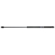 MOLA A GAS - VOLKSWAGEN GOL 1.0 16V/1.0 8V/1.6 8V 2000-2006