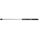 MOLA A GAS - CHEVROLET BLAZER 2.4 8V/2.8 12V/4.3 12V 2000-2012