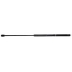 MOLA A GAS - PEUGEOT 306 1.8 16V/1.8 8V/2.0 16V 1994-2004