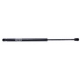 MOLA A GAS - FORD FOCUS 1.8 16V/2.0 16V 2000-2002